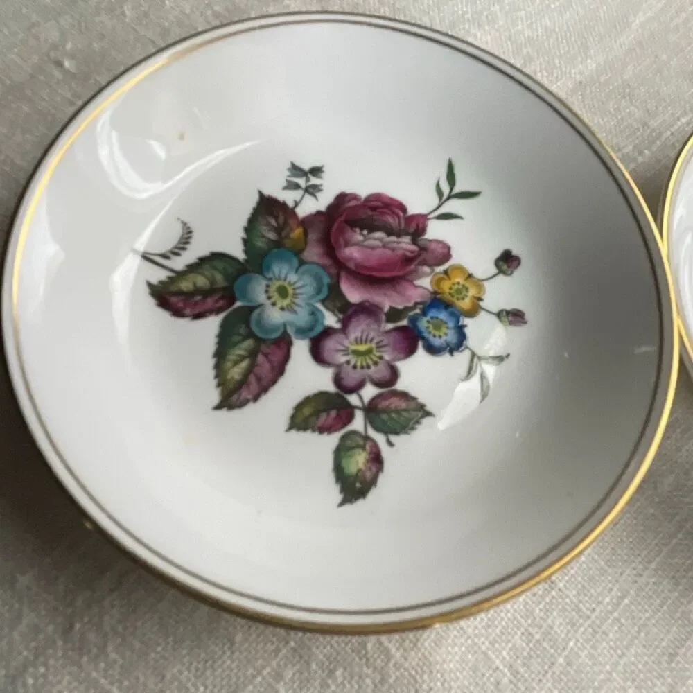 Set of 2 Royal Worcester hand-painted bone China coasters.